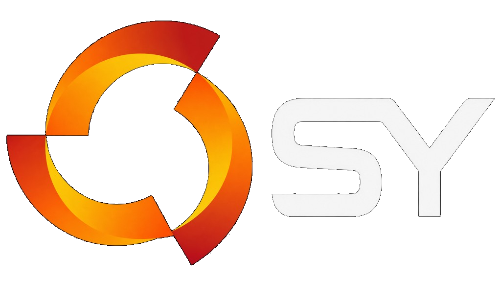 SY Holdings